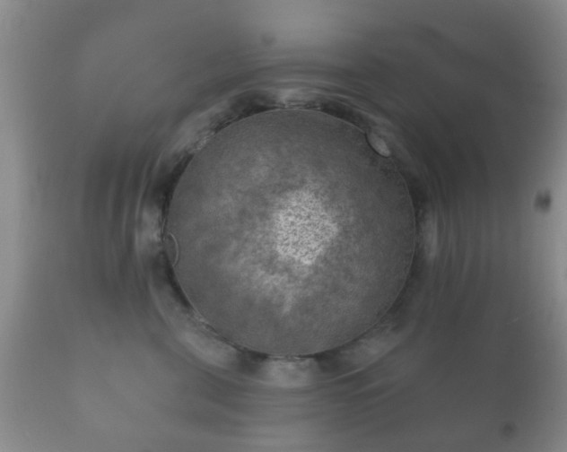 X0000112350571200908201443