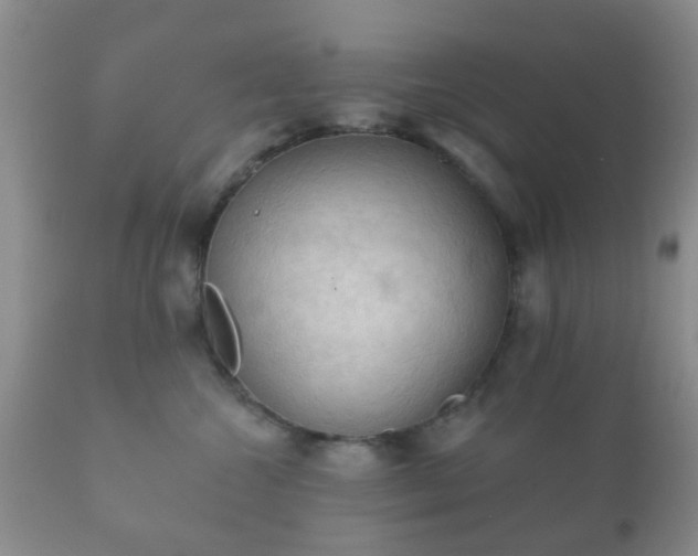 X0000112350572200908201443