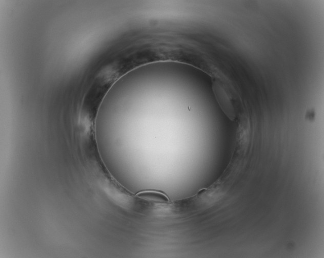 X0000112350574200908201443