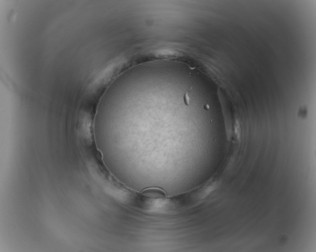 X0000112350575200908201443
