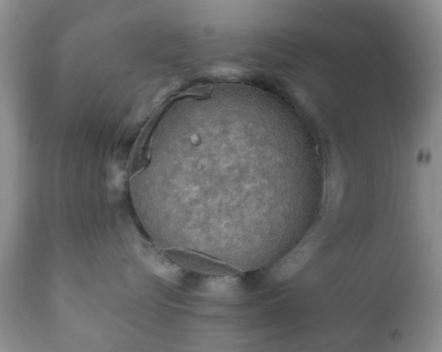 X0000112350576200908201443