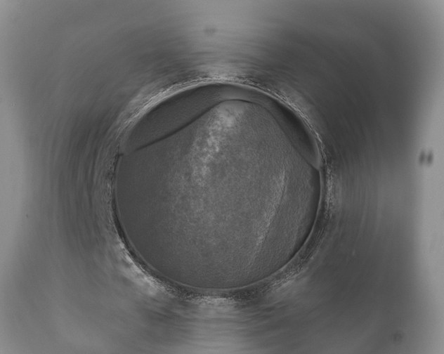 X0000112350577200908201442