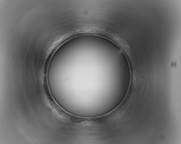 X0000112350578200908201442