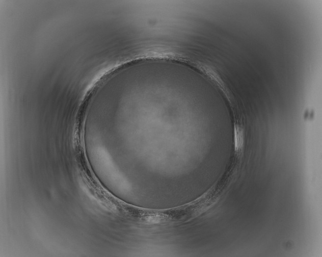 X0000112350579200908201442