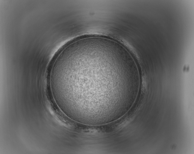 X0000112350580200908201442