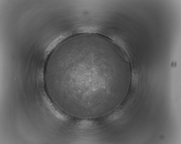 X0000112350581200908201442