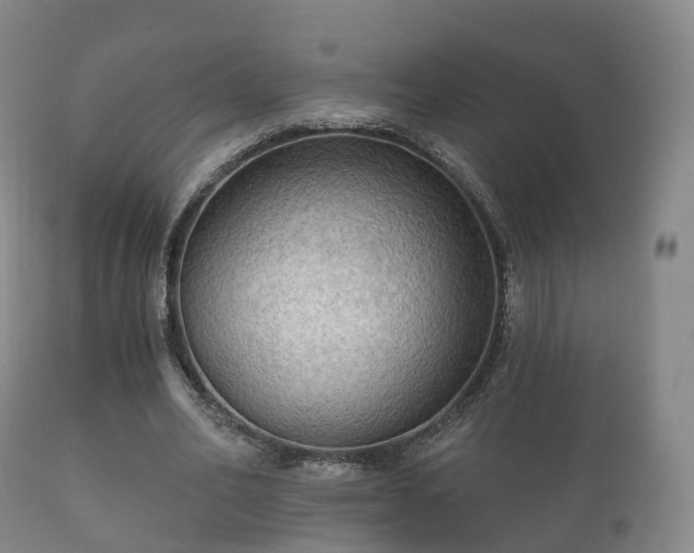 X0000112350582200908201442