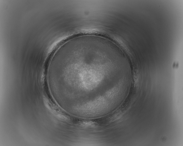X0000112350583200908201442