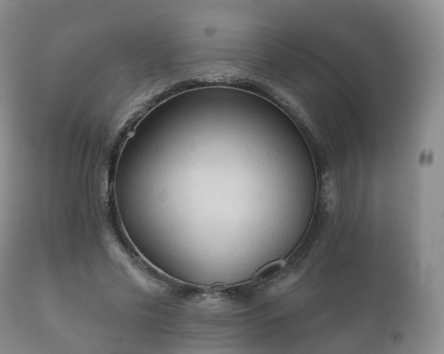 X0000112350589200908201442