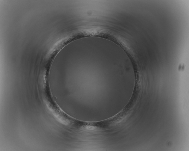 X0000112350590200908201442