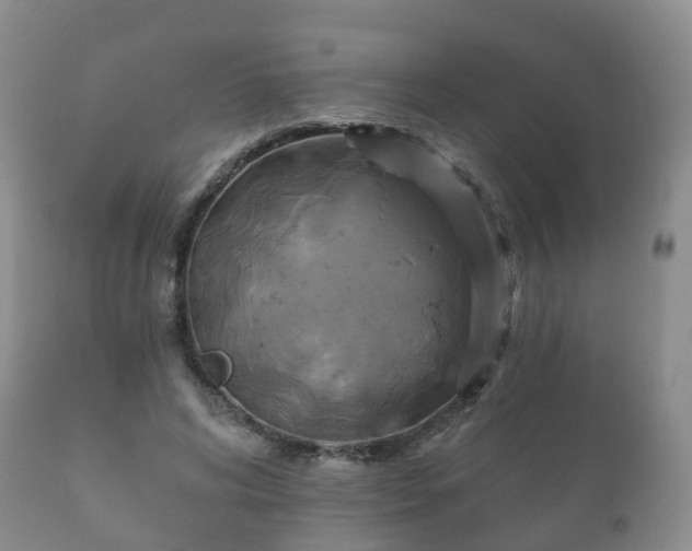 X0000112350592200908201441