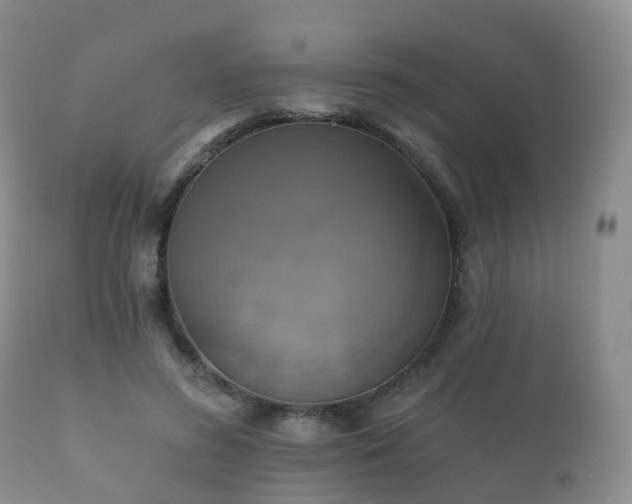 X0000112350596200908201441