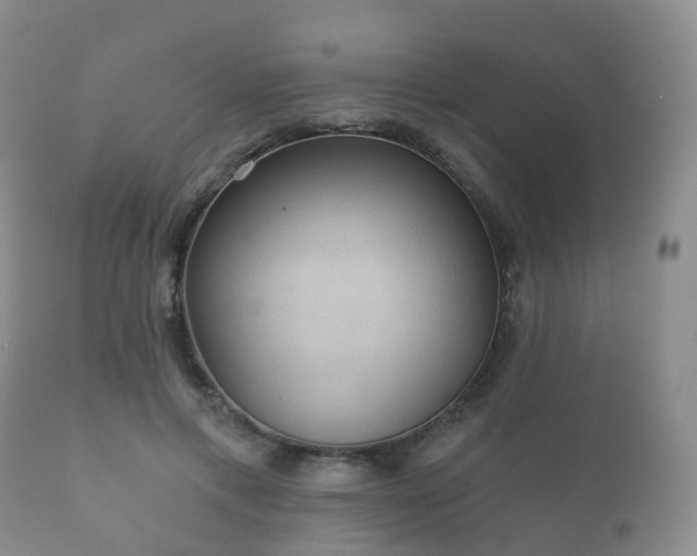 X0000112350597200908201441