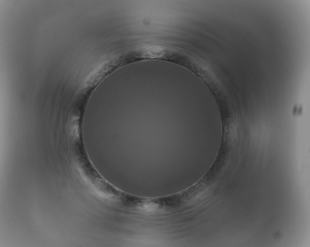 X0000112350598200908201441