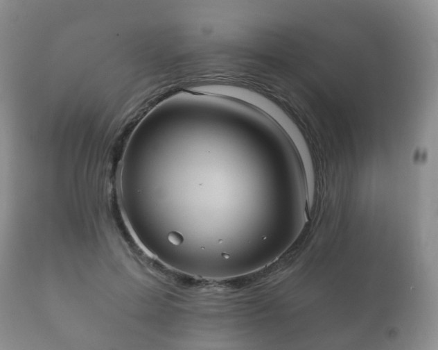 X0000112350599200908201441