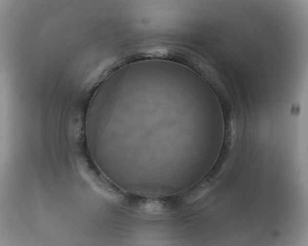X0000112350600200908201441