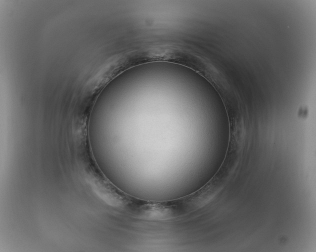 X0000112350601200908201441