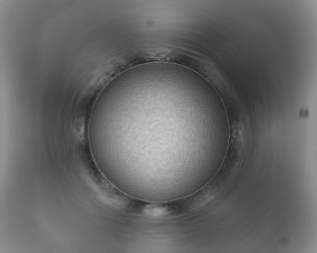 X0000112350602200908201441