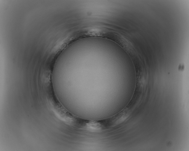X0000112350603200908201441