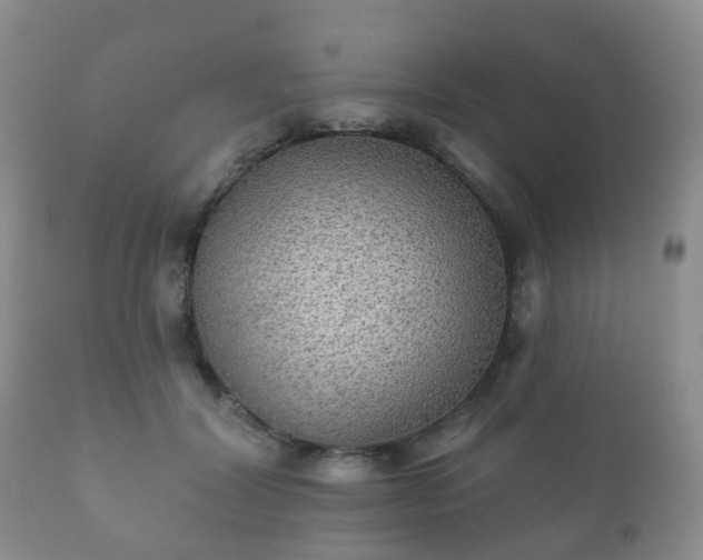 X0000112350604200908201441