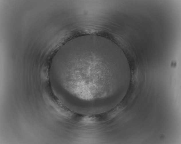 X0000112350606200908201441
