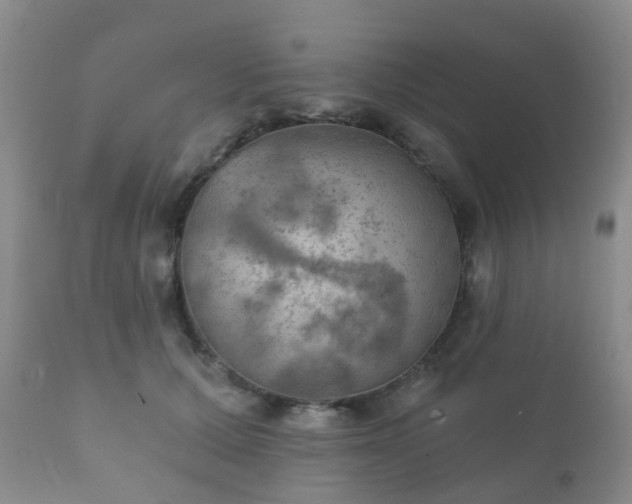 X0000112350607200908201441
