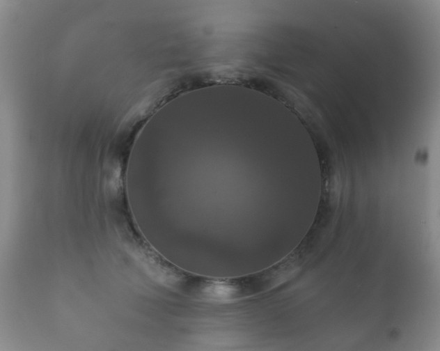 X0000112350610200908201441