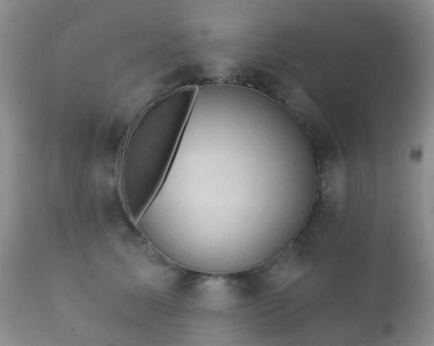 X0000112350611200908201441