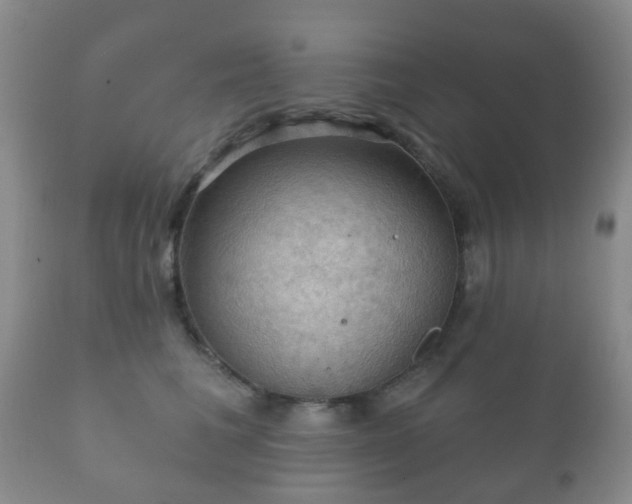 X0000112350613200908201441