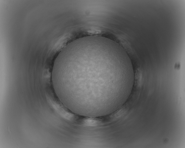 X0000112350614200908201441