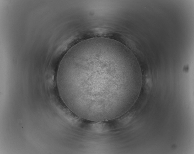 X0000112350615200908201441