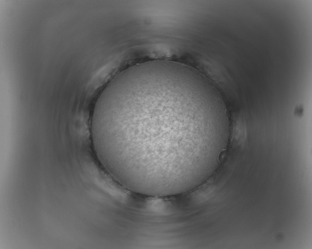 X0000112350616200908201441