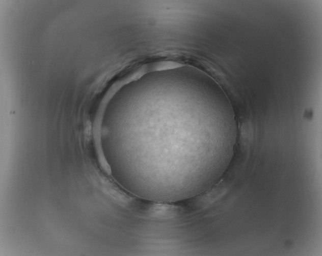 X0000112350617200908201441