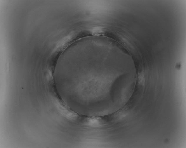 X0000112350618200908201441
