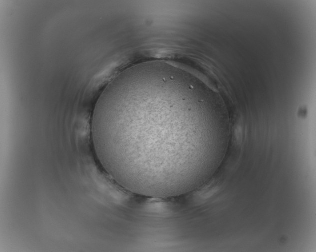 X0000112350620200908201441