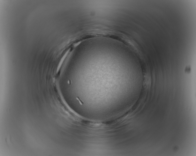 X0000112350621200908201441
