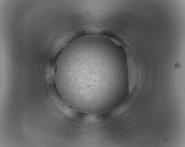 X0000112350624200908201441