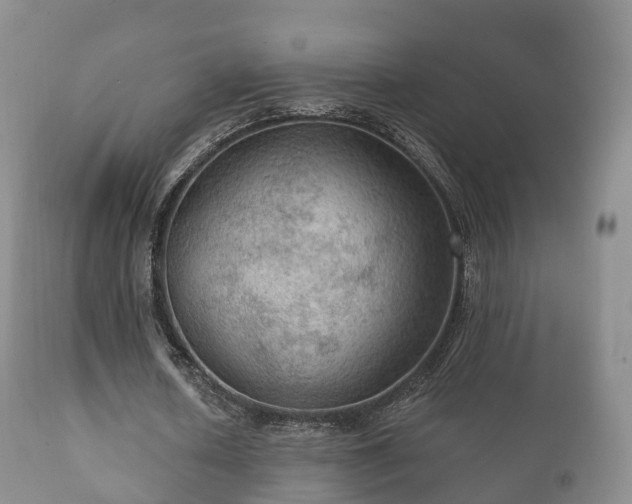 X0000112350626200908201440