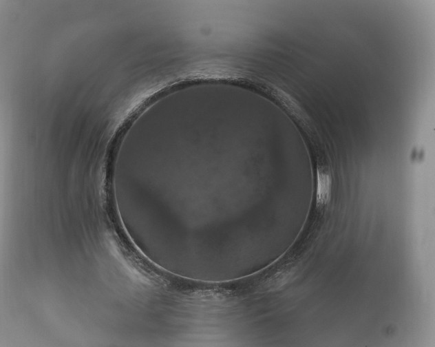 X0000112350627200908201440
