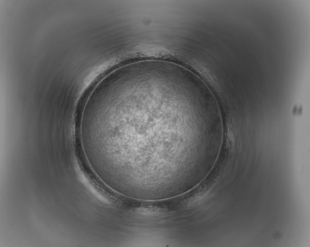X0000112350630200908201440