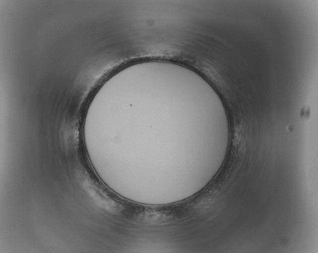 X0000112350632200908201440