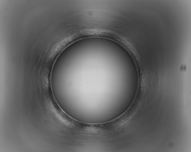 X0000112350633200908201440