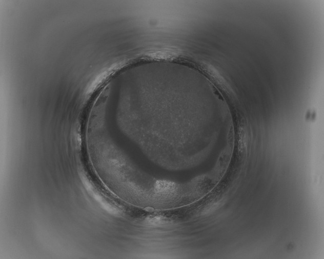 X0000112350634200908201440