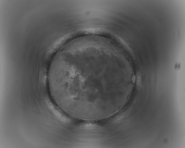 X0000112350637200908201440