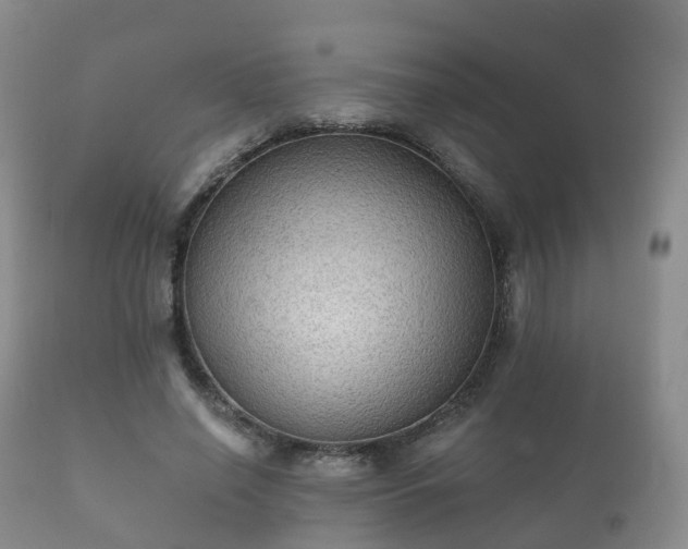 X0000112350638200908201440