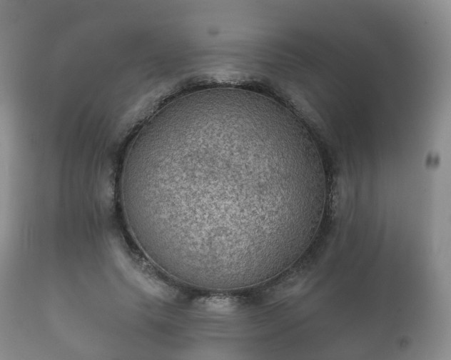 X0000112350639200908201440