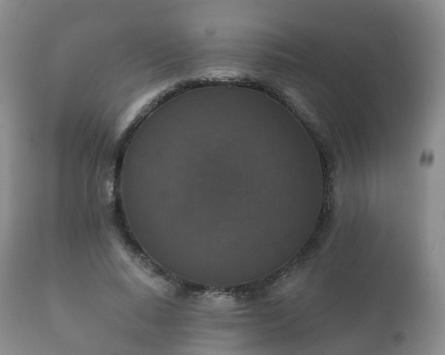 X0000112350640200908201440