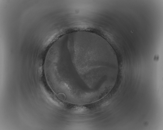 X0000112350642200908201441