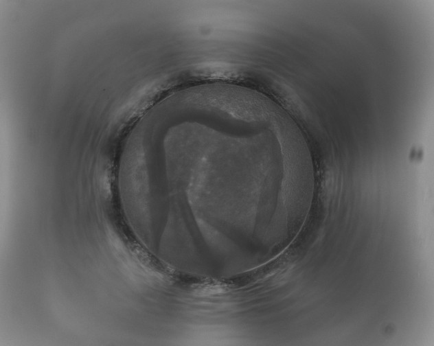 X0000112350643200908201441