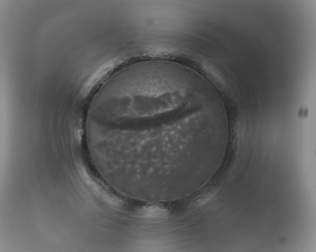 X0000112350644200908201441
